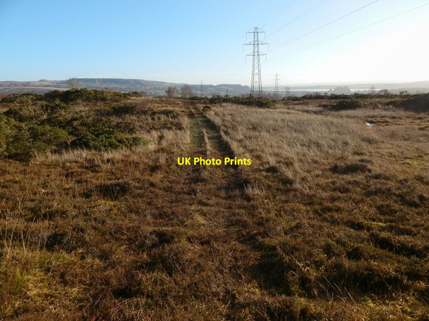 Photo 6"x4" Tracks on Carman Muir Alexandria c2015