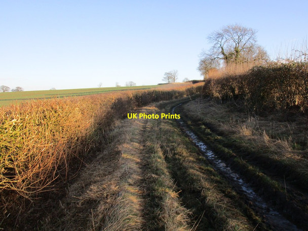 Photo 6"x4" Leys Lane West Markham c2015