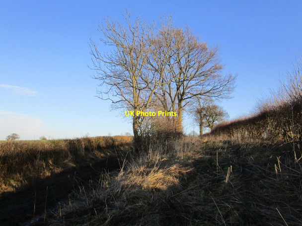 Photo 6"x4" Alternative route West Markham c2015