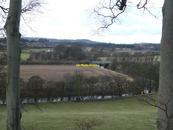 Photo 6"x4" Walkers beside the River Aln Alnwick c2015