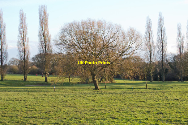 Photo 6"x4" View from Belfairs Woodland Centre Eastwood\/TQ8488 c2015