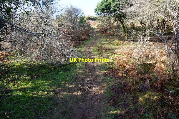 Photo 6"x4" Path on Roborough Down Roborough\/SX5062 c2015