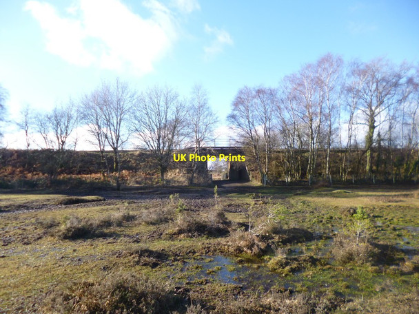 Photo 6"x4" Black Down, railway bridge Ashurst\/SU3310 c2015