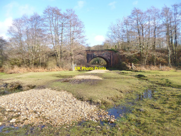Photo 6"x4" Fulliford Passage Ashurst\/SU3310 c2015