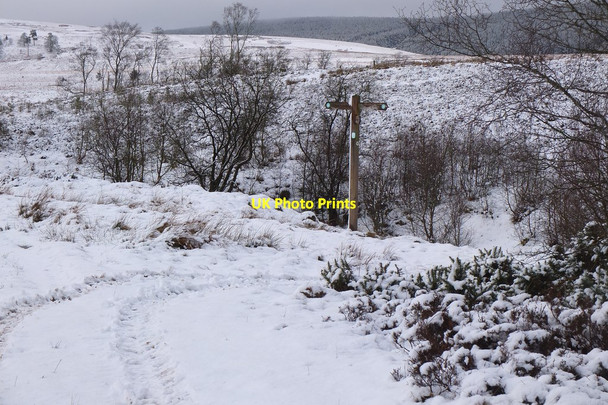 Photo 6"x4" Signpost, Fairydean Burn Hattonknowe c2015