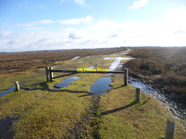 Photo 6"x4" Black Down, gateway Ashurst\/SU3310 c2015