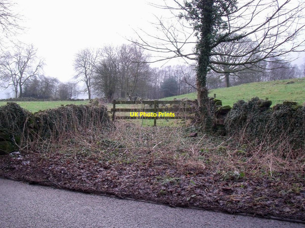 Photo 6"x4" Former track through Ramshorn Ramshorn c2015