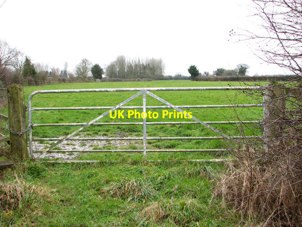 Photo 6"x4" Footpath to Knyvet's Grove Ashwellthorpe c2015