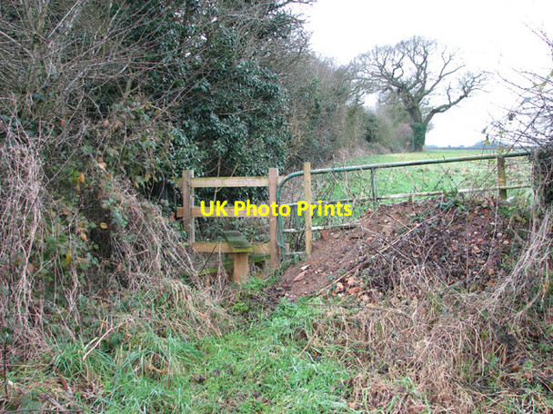 Photo 6"x4" Path to Little Gibraltar Ashwellthorpe c2015