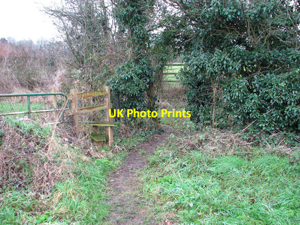 Photo 6"x4" Path to Fundenhall Ashwellthorpe c2015
