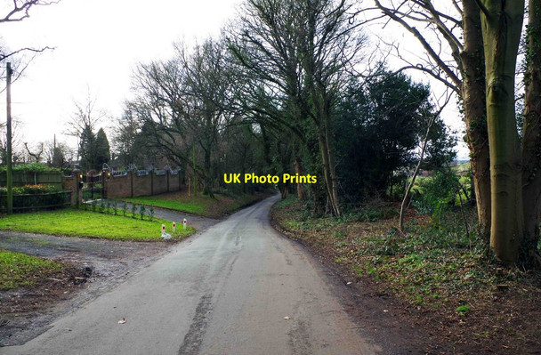 Photo 6"x4" North Worcestershire Path running along Sugar Loaf Lane, Iverley, Staffs Stourbridge c2015