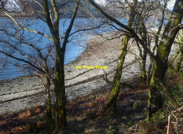 Photo 6"x4" Loch Striven shore near Brackley Point Inverchaolain c2015