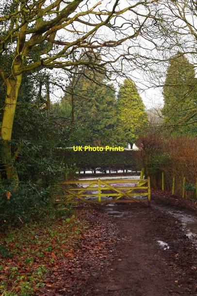Photo 6"x4" North Worcestershire Path near Blakeshall Lane, Blakeshall, Worcs Blakeshall c2014