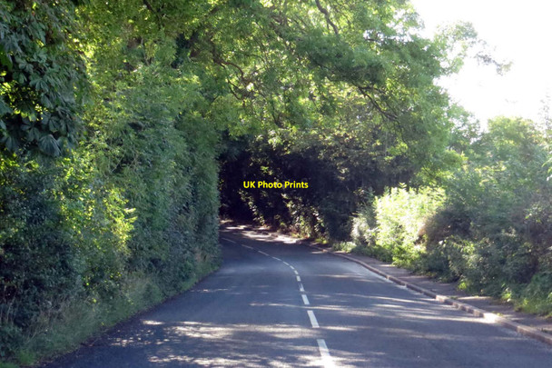 Photo 6"x4" Cumeragh Lane into Cumeragh Village Cumeragh Village c2014
