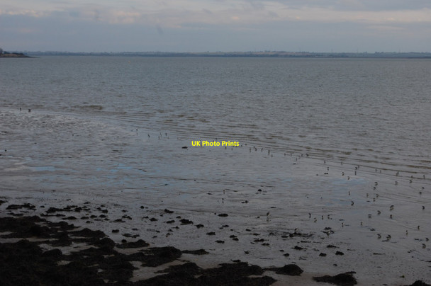 Photo 6"x4" Foreshore at Decoy Point Osea Island c2015