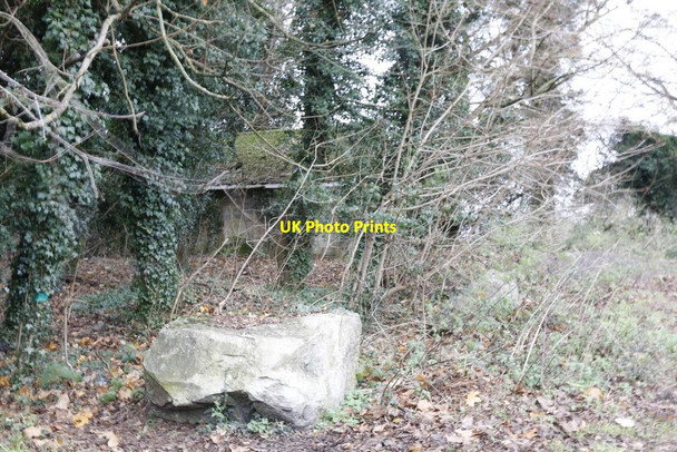 Photo 6"x4" Building through the trees New Headington c2014