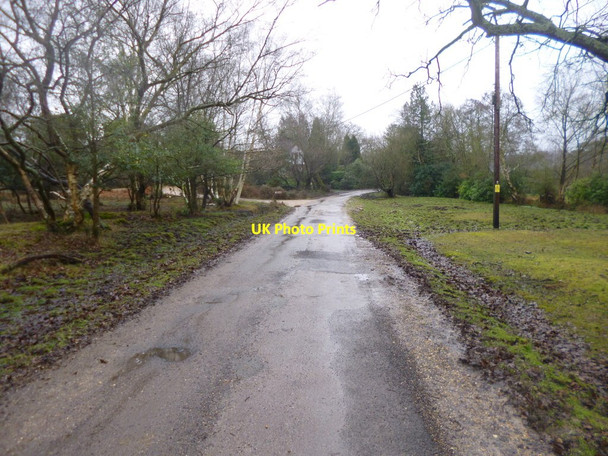 Photo 6"x4" Lyndhurst, byway Clayhill\/SU3007 c2015