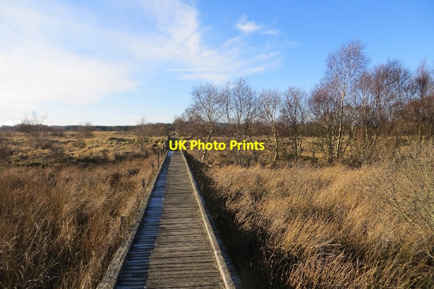 Photo 6"x4" Boardwalk, Fife Coastal Path Leuchars c2015