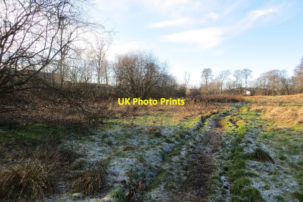 Photo 6"x4" Fife Coastal Path, Leuchars Guardbridge c2015