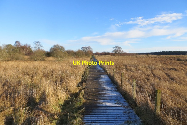 Photo 6"x4" Boardwalk, Fife Coastal Path Leuchars c2015