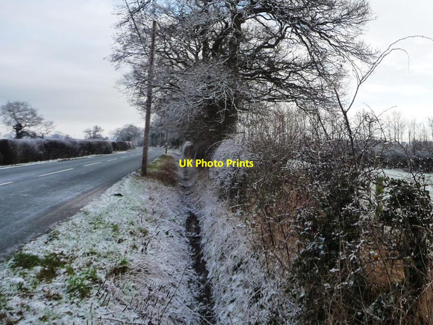 Photo 6"x4" Roadside ditch, west of Grange Farm Gatesheath c2015