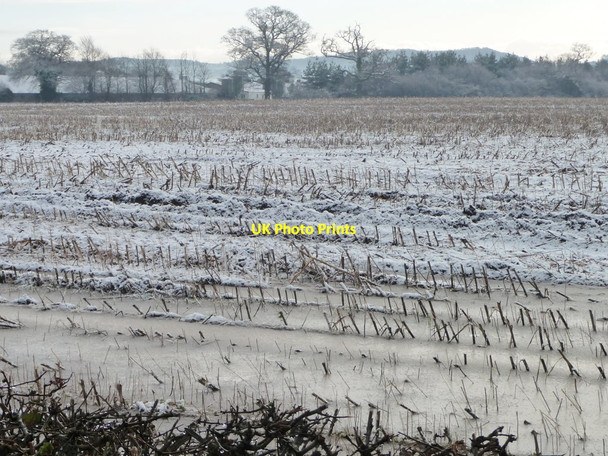Photo 6"x4" Frozen stubble field, east of Gatesheath Gatesheath c2015