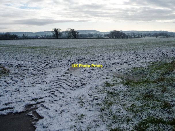 Photo 6"x4" Farmland south of Newton Lane [2] Gatesheath c2015