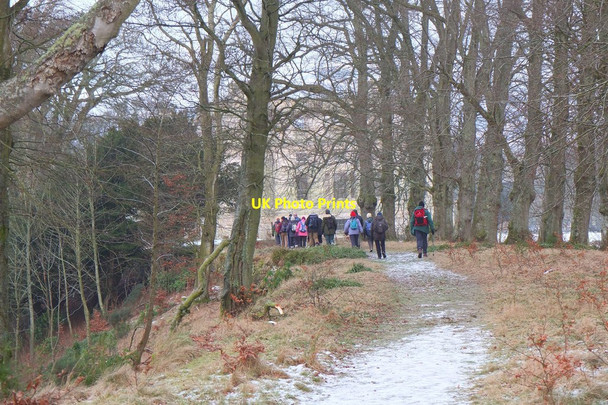 Photo 6"x4" Woodland near Penicuik House Penicuik c2015