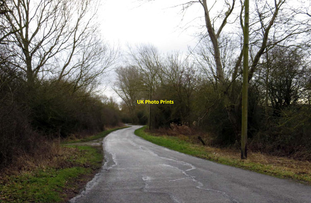 Photo 6"x4" Rural road to Piddington Blackthorn c2015 P1