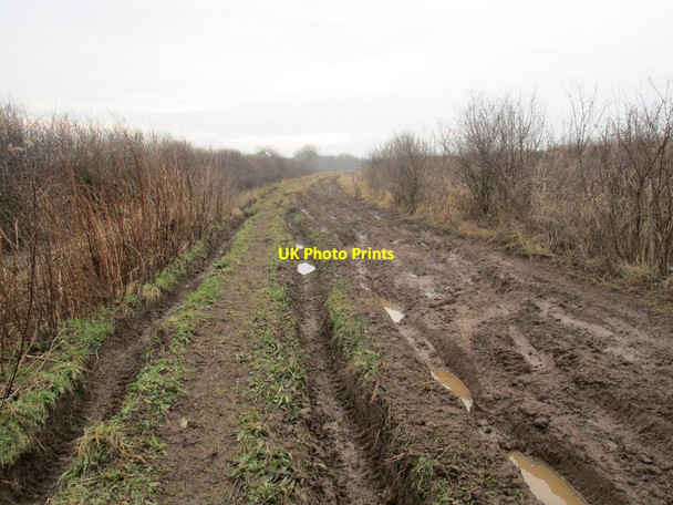 Photo 6"x4" Garton Balk (2) Elmswell\/SE9958 c2015