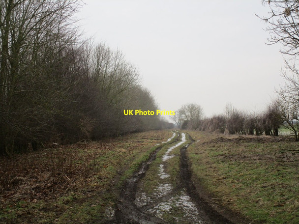 Photo 6"x4" Track towards Station Road Elmswell\/SE9958 c2015