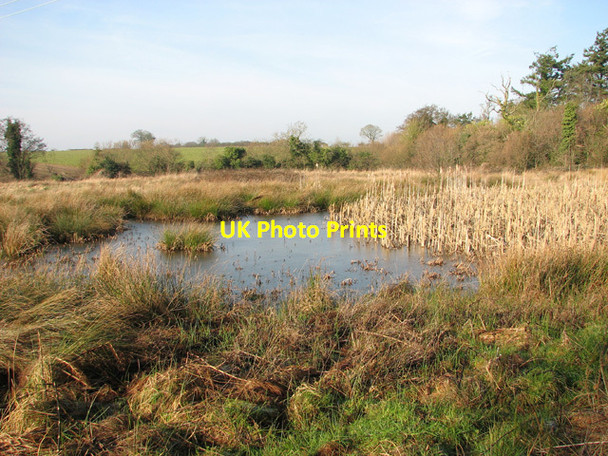 Photo 6"x4" Pond by Moegoe's Plantation Hengrave\/TG1319 c2015