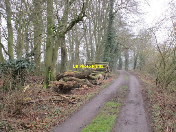 Photo 6"x4" Timber stack Middleton on-the-Wolds c2015
