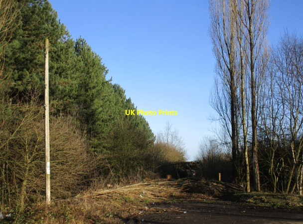 Photo 6"x4" Abandoned road at the former Bevercotes Colliery West Drayton\/SK7074 c2015