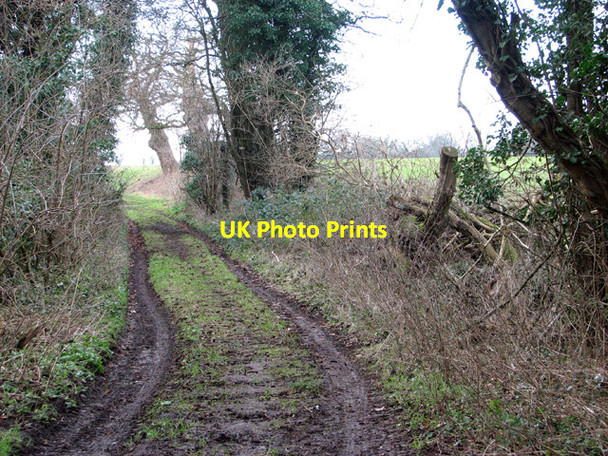 Photo 6"x4" Footpath to Haveringland Road Grang c2015