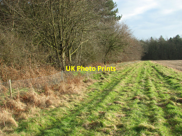 Photo 6"x4" Farm track skirting Great Wood Grang c2015 P1