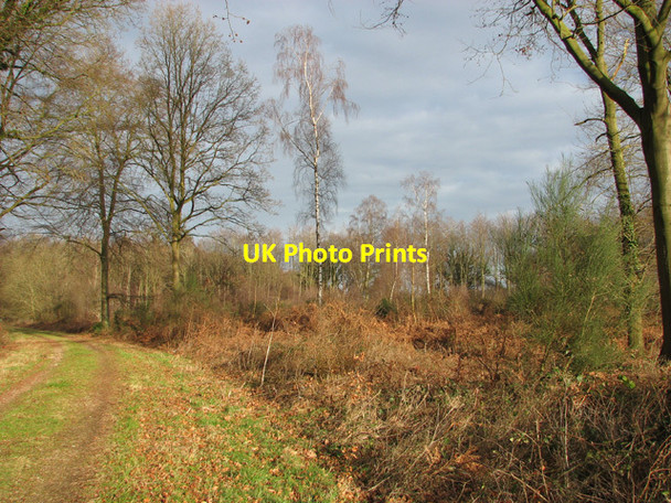 Photo 6"x4" Footpath from Haveringland Road to Holt Road (B1149) Grang c2015