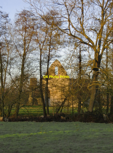 Photo 6"x4" The ruins of Newark Priory, from the south Pyrford Green c2015