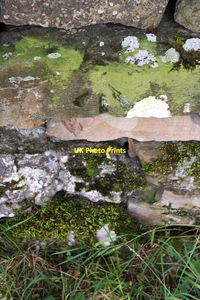 Photo 6"x4" Benchmark on roadside wall Newbiggin\/SD9591 c2014