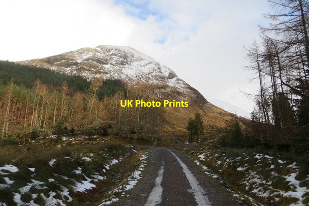 Photo 6"x4" Logging road, Glen Creran River Creran\/NN0751 c2015