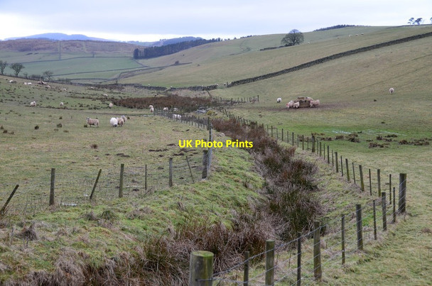 Photo 6"x4" Burn at Housebyres Moss Easter Housebyres c2015