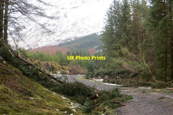 Photo 6"x4" Logging road, Glen Creran Allt Eilidh c2015