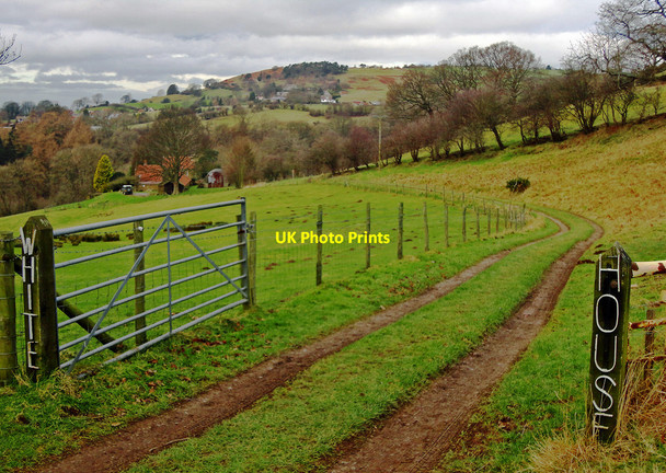 Photo 6"x4" Whitehouse Farm entrance Osmotherley c2015