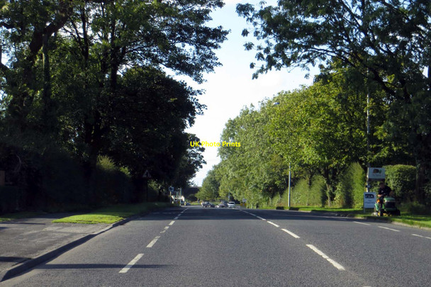Photo 6"x4" Garstang Road near Bilsborrow Bilsborrow c2014