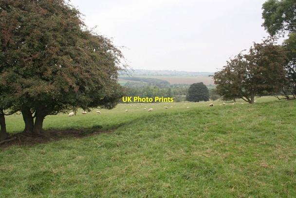 Photo 6"x4" View towards Wensleydale Railway from field near Ruswick Manor Finghall c2014
