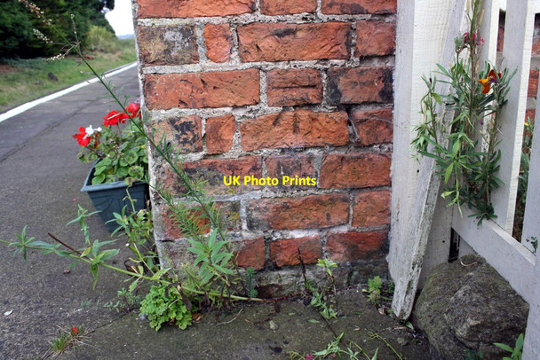 Photo 6"x4" Benchmark on Finghall Lane Station Finghall c2014