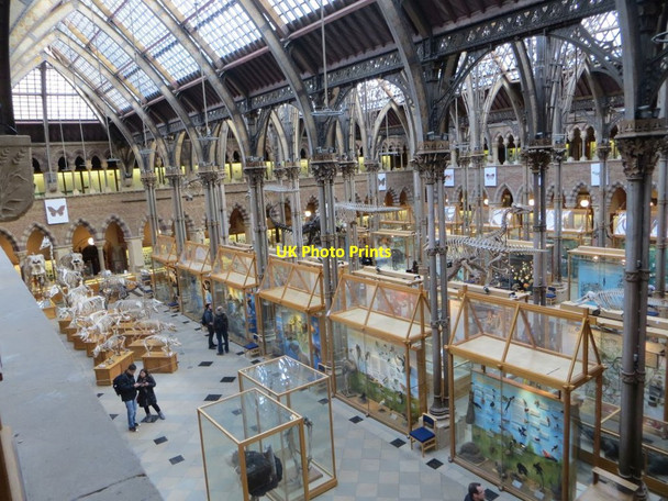Photo 6"x4" View across the Museum Oxford\/SP5106 c2014