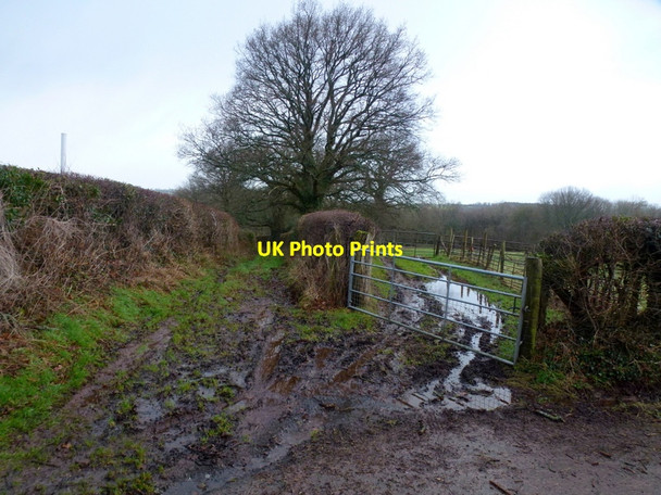 Photo 6"x4" Farm track Llanywern c2015