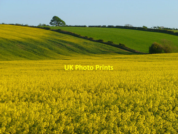 Photo 6"x4" Farmland, Crosscanonby Allerby c2011