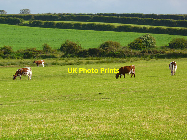Photo 6"x4" Farmland, Holme St Cuthbert Goodyhills c2011